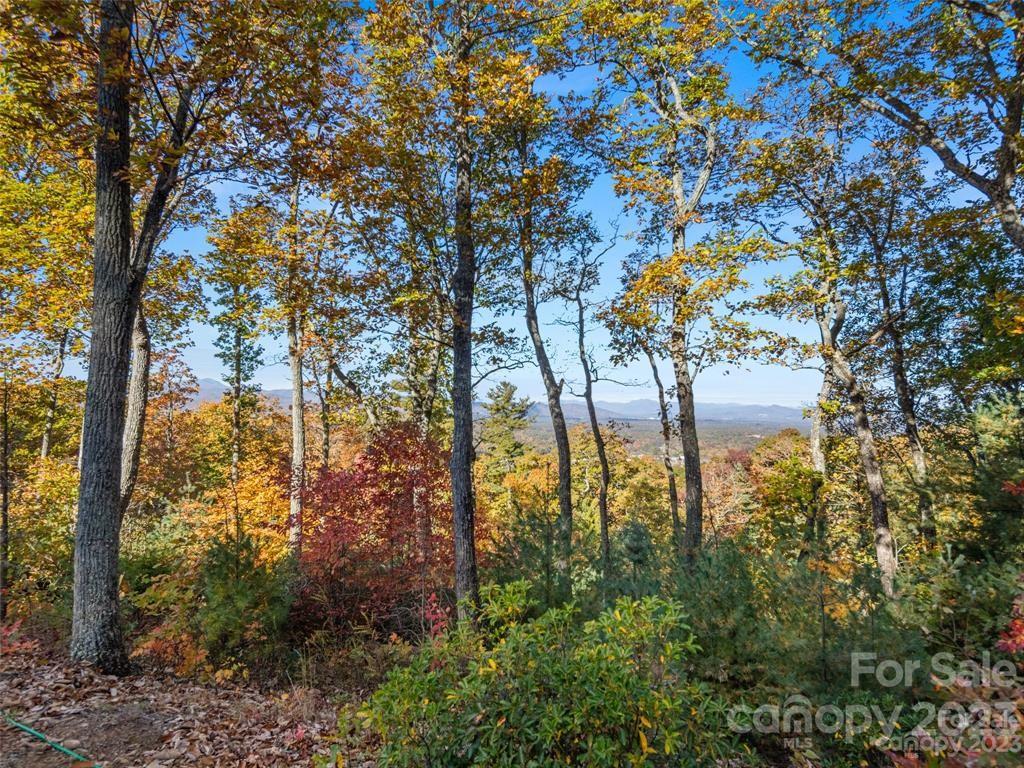 64 Giffords Lane Asheville NC 28803