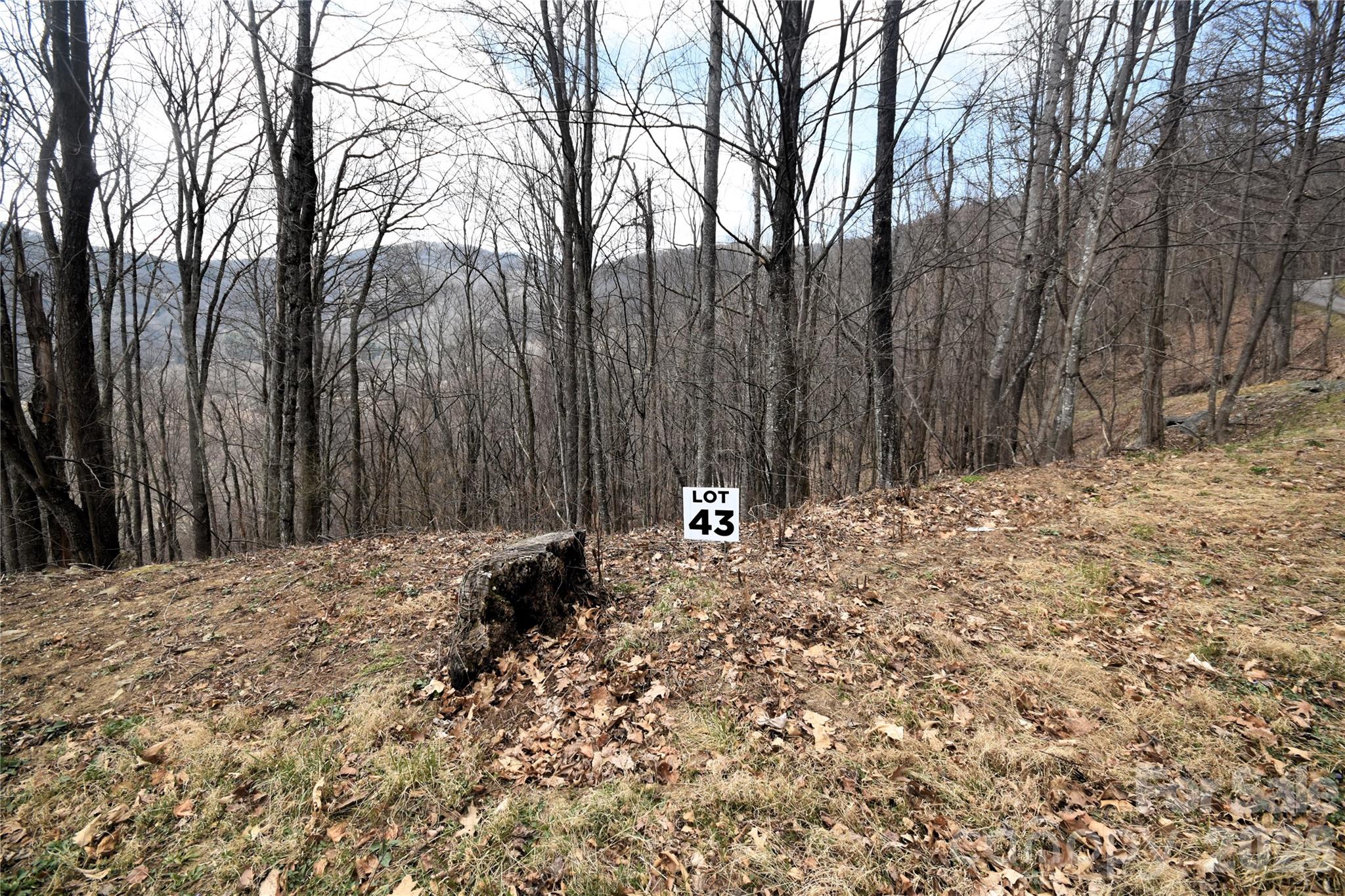 43 Marble Stone Drive Waynesville NC 28785