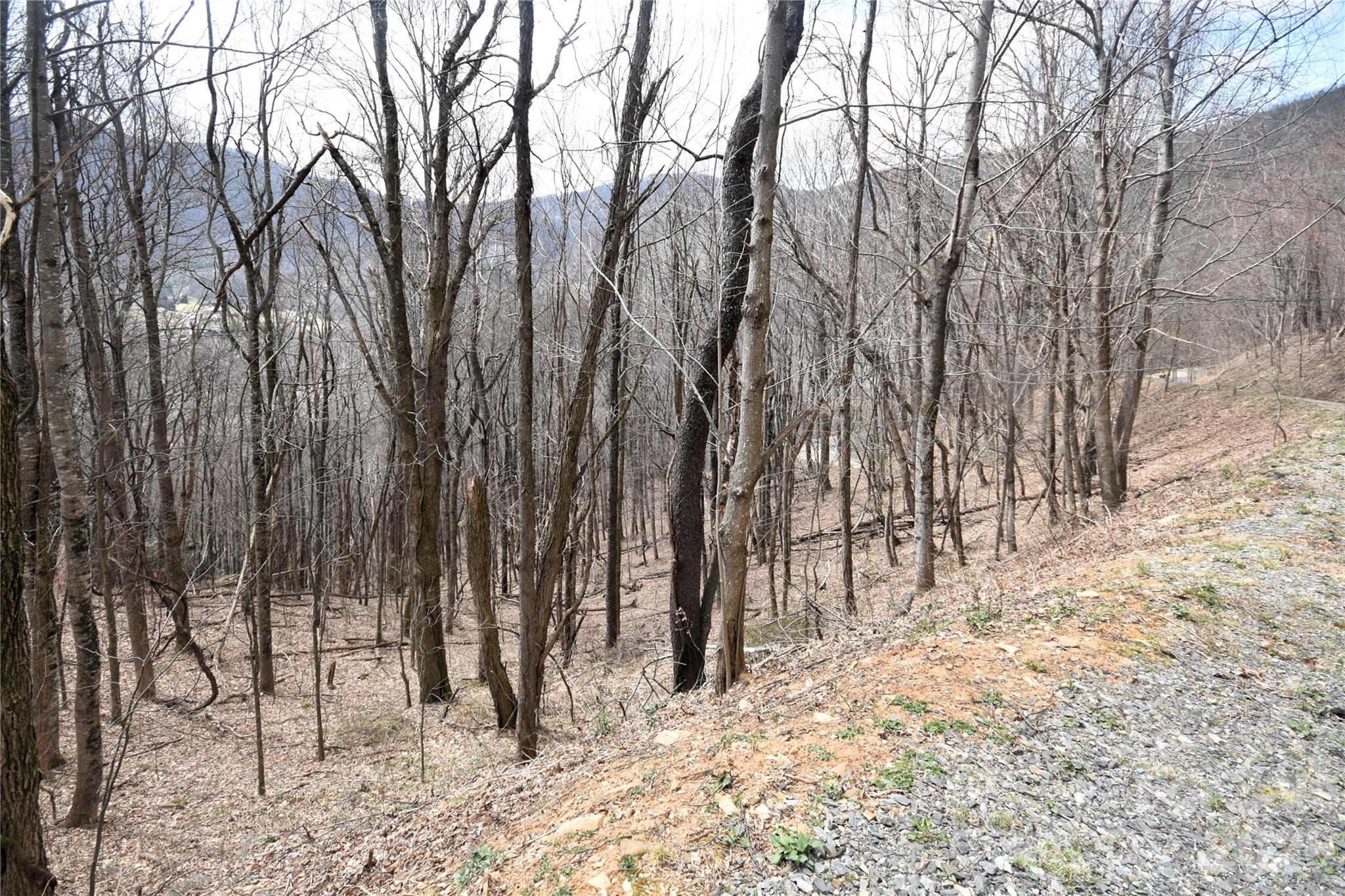 43 Marble Stone Drive Waynesville NC 28785