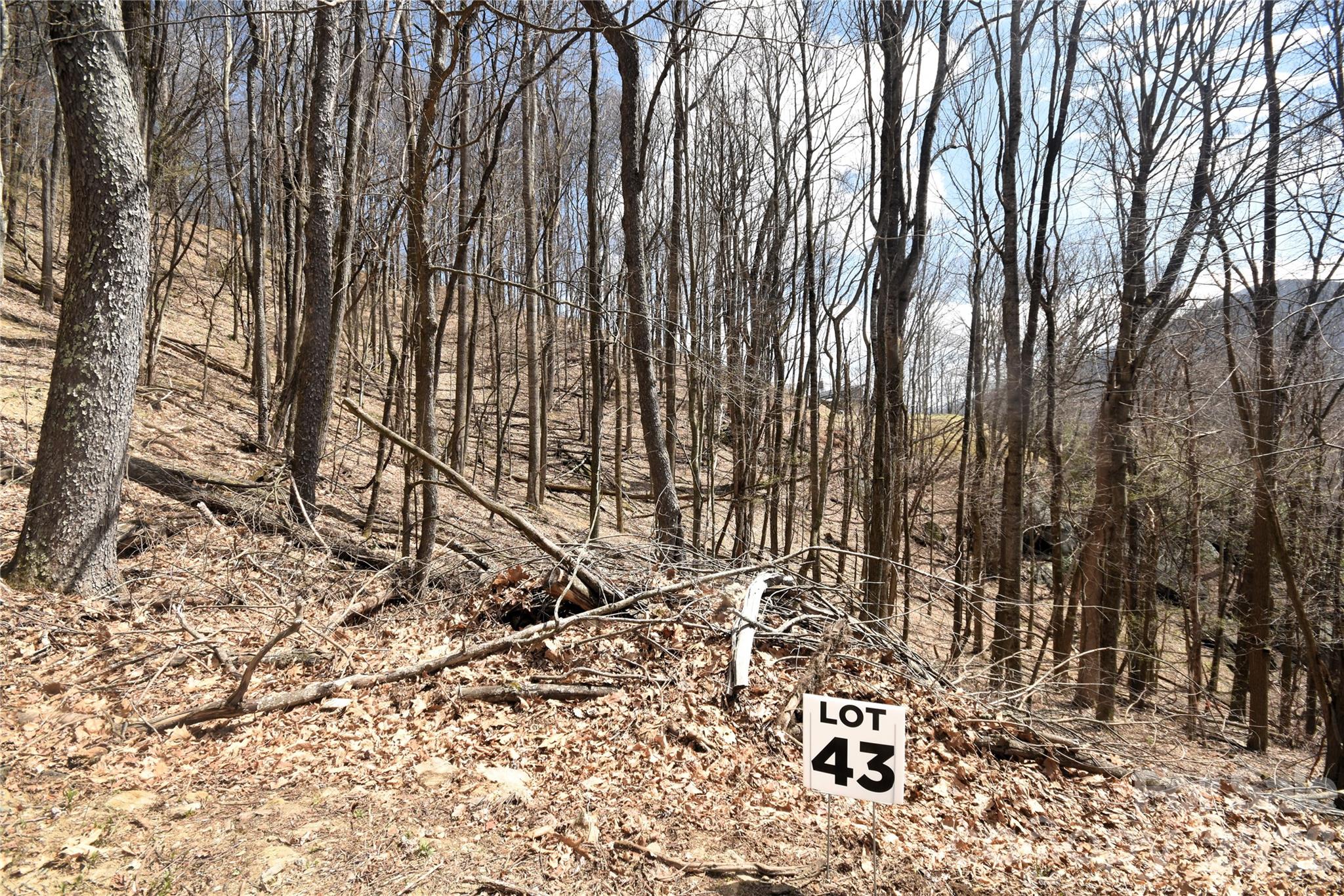 43 Marble Stone Drive Waynesville NC 28785
