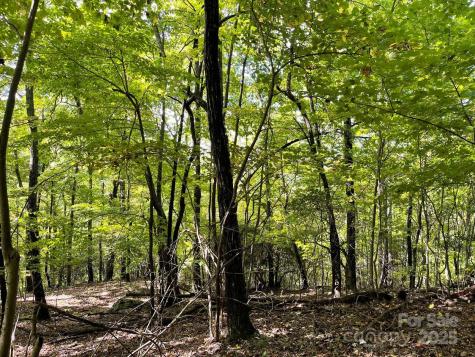 Tbd Billy Cove Road Candler NC 28715