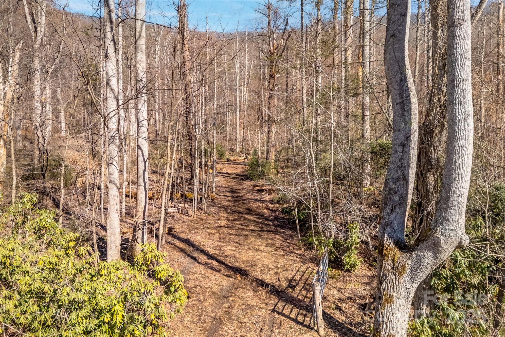 Tbd Billy Cove Road Candler NC 28715