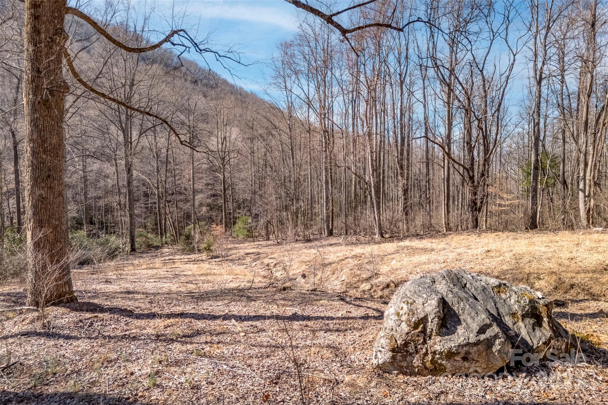 Tbd Billy Cove Road Candler NC 28715