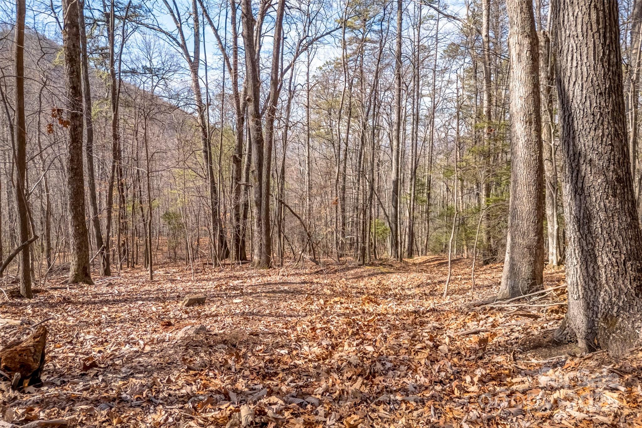 Tbd Billy Cove Road Candler NC 28715