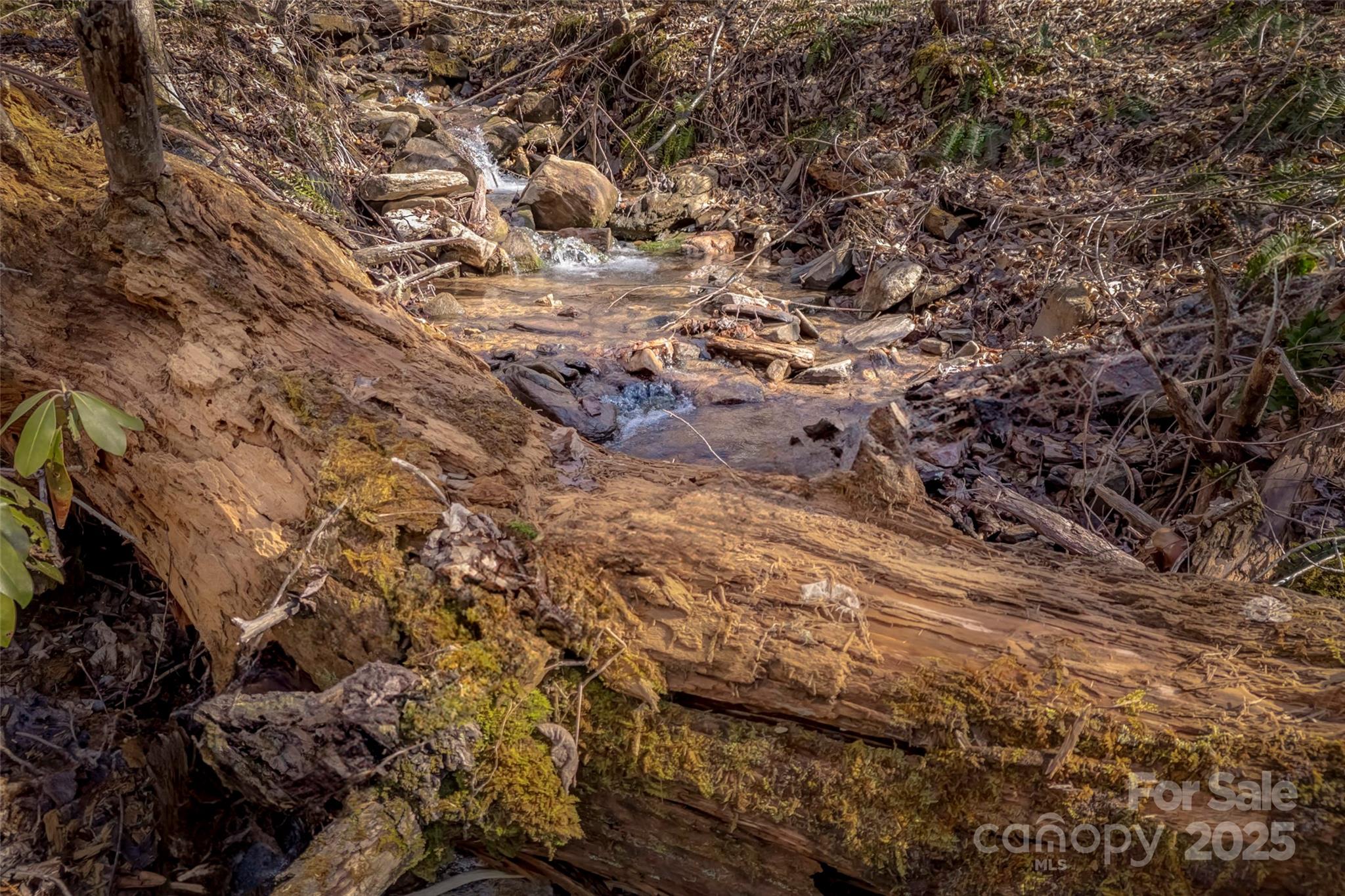 Tbd Billy Cove Road Candler NC 28715