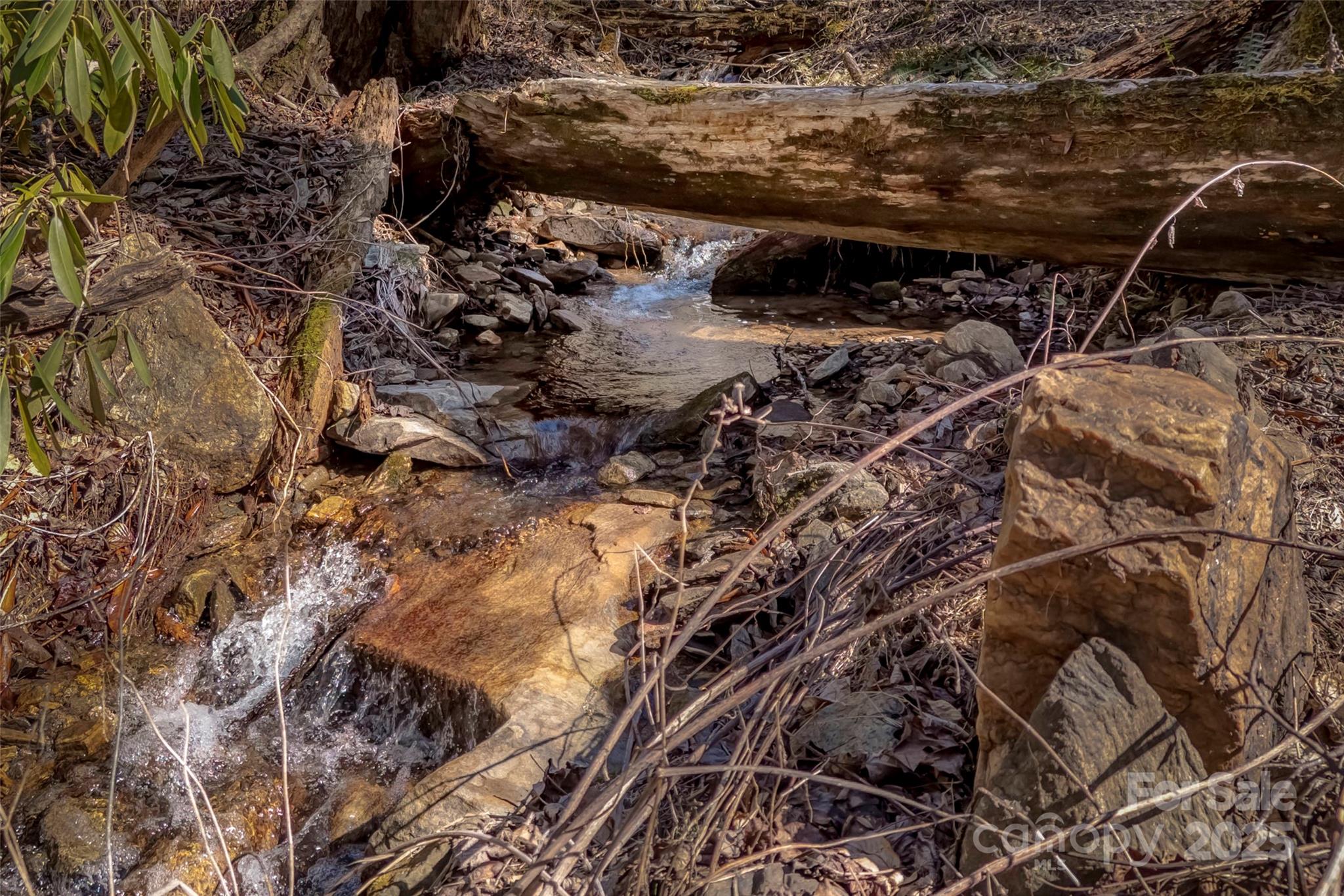 Tbd Billy Cove Road Candler NC 28715
