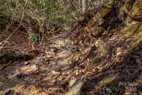 Tbd Billy Cove Road Candler NC 28715