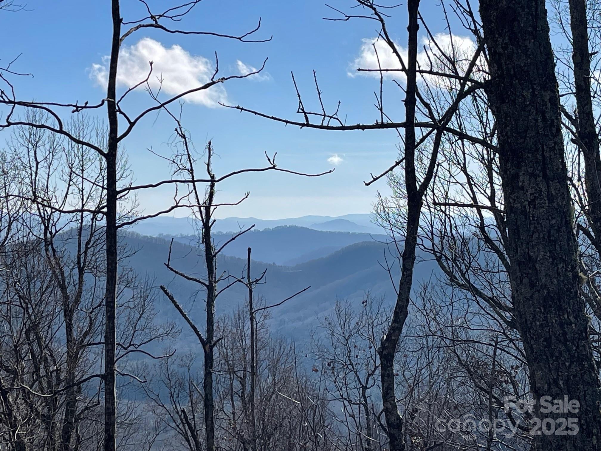 Tbd Billy Cove Road Candler NC 28715