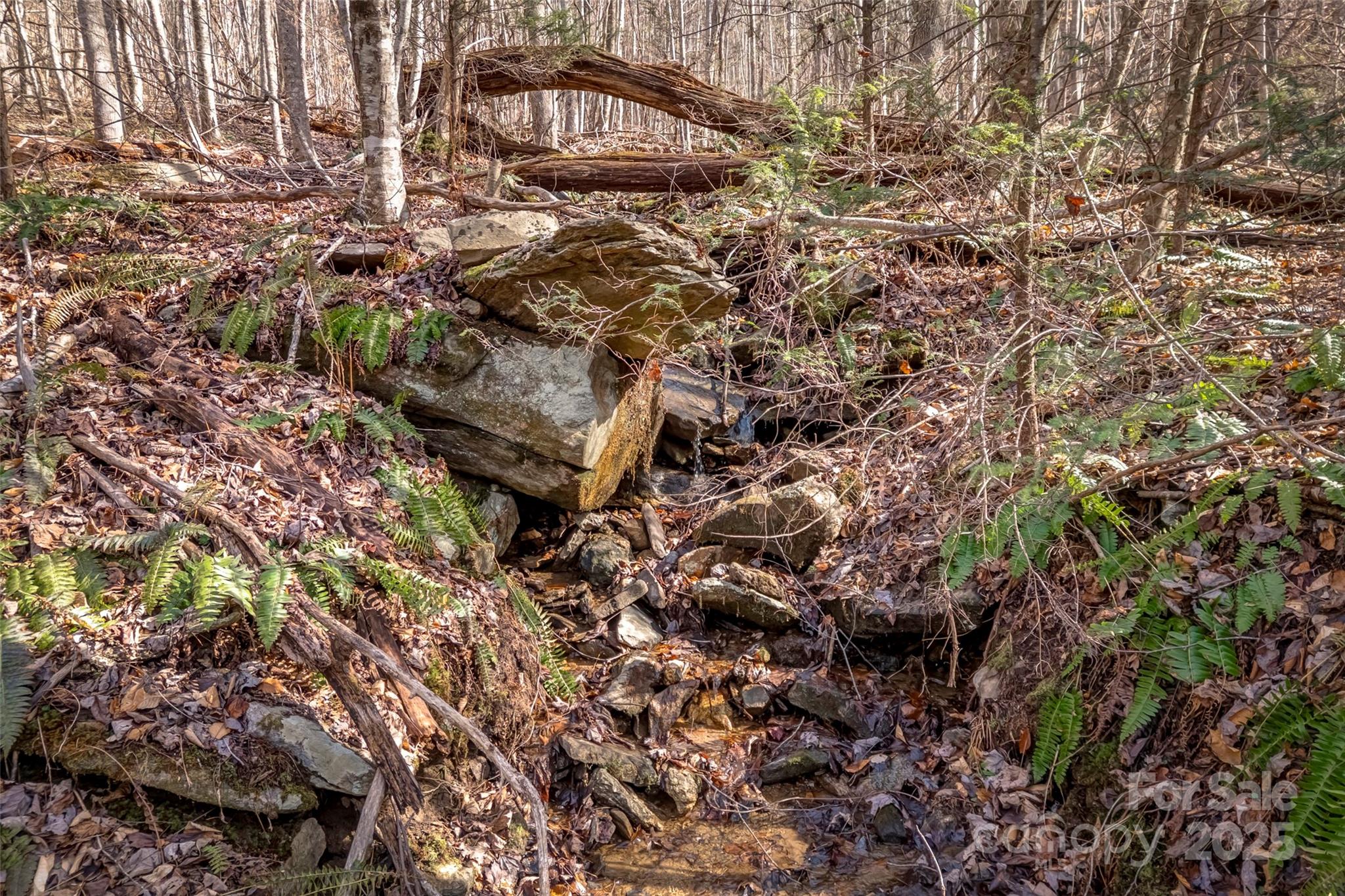 Tbd Billy Cove Road Candler NC 28715