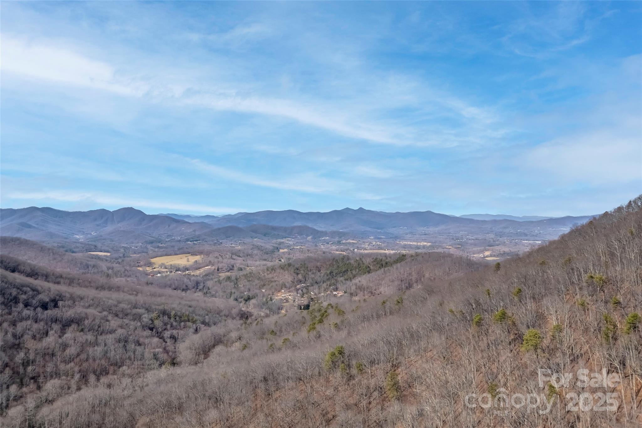 Tbd Billy Cove Road Candler NC 28715