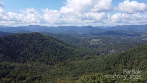 Tbd Billy Cove Road Candler NC 28715