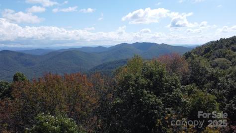 Tbd Billy Cove Road Candler NC 28715