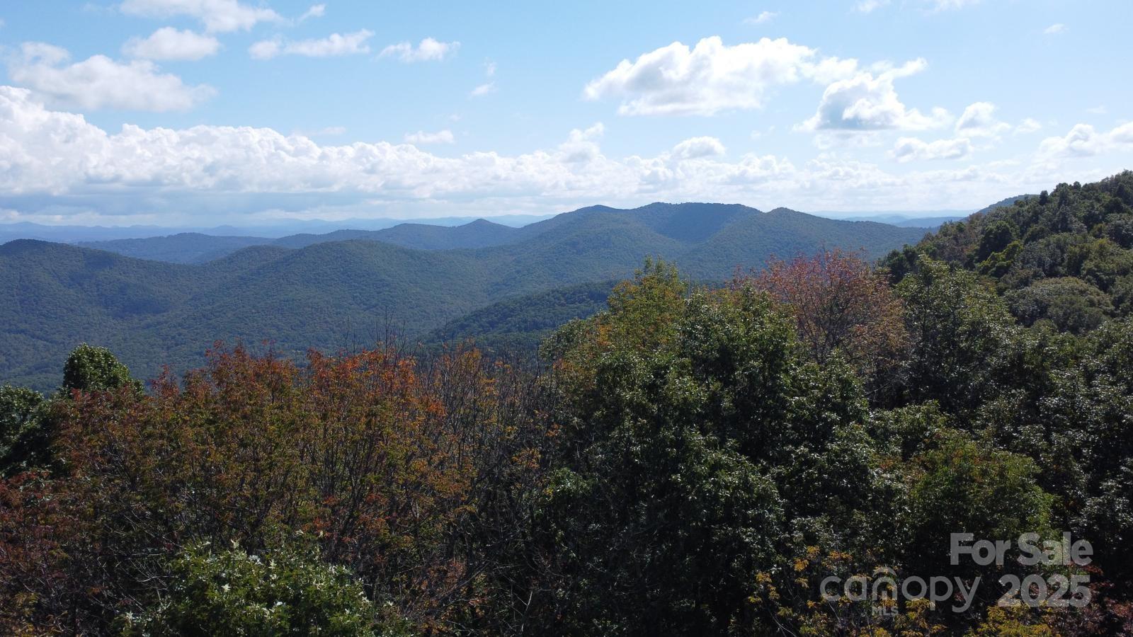 Tbd Billy Cove Road Candler NC 28715
