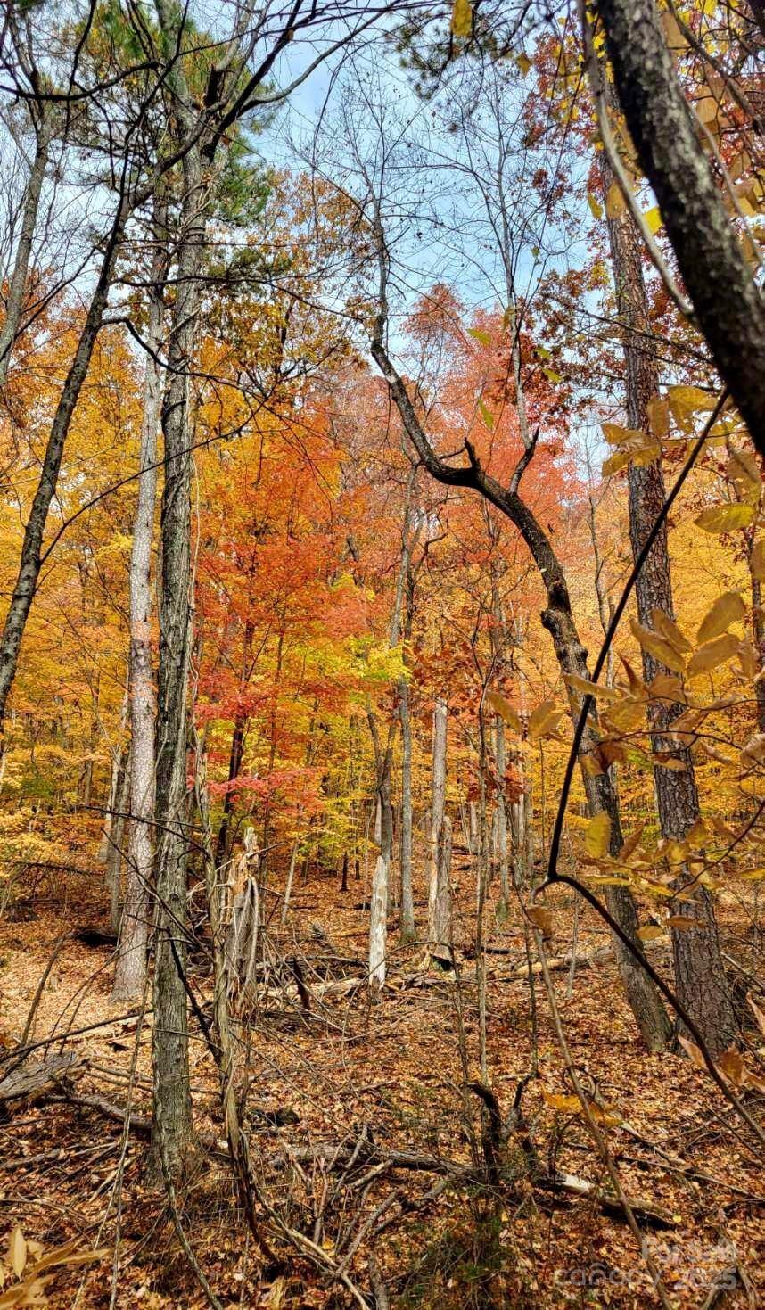 Tbd Billy Cove Road Candler NC 28715