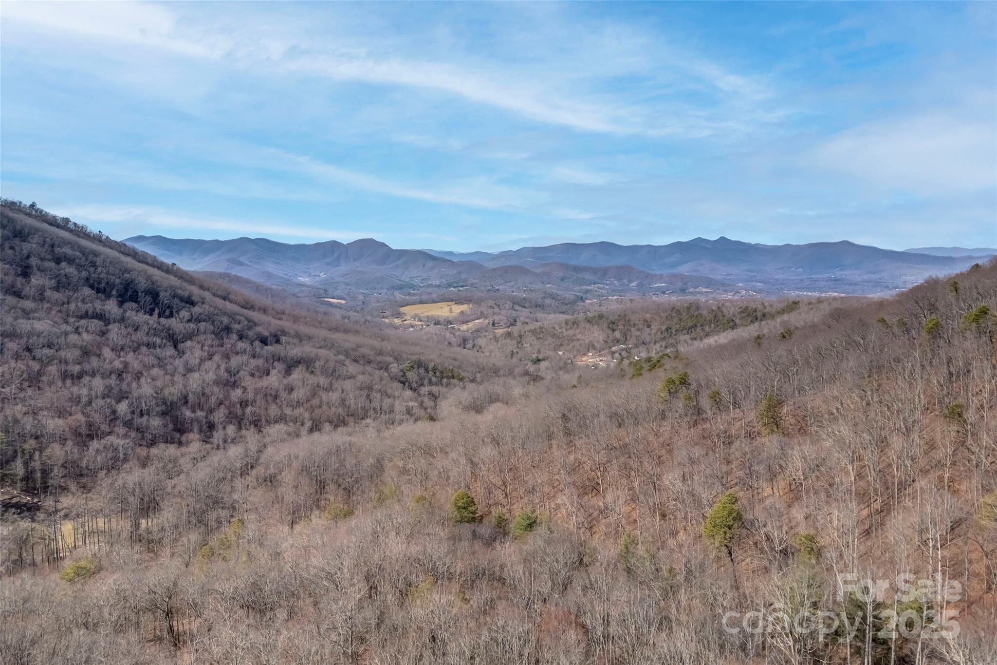 Tbd Billy Cove Road Candler NC 28715