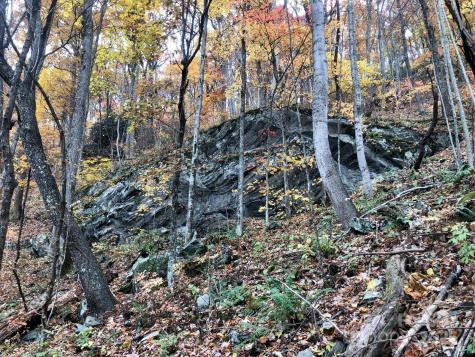 Tbd Billy Cove Road Candler NC 28715
