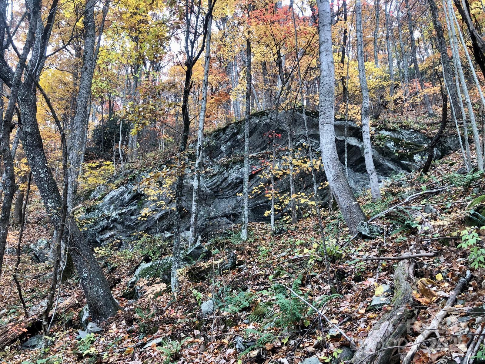Tbd Billy Cove Road Candler NC 28715