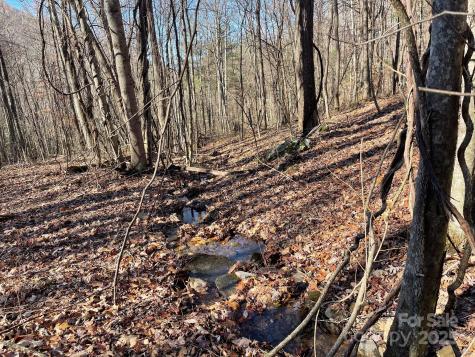 Tbd Billy Cove Road Candler NC 28715