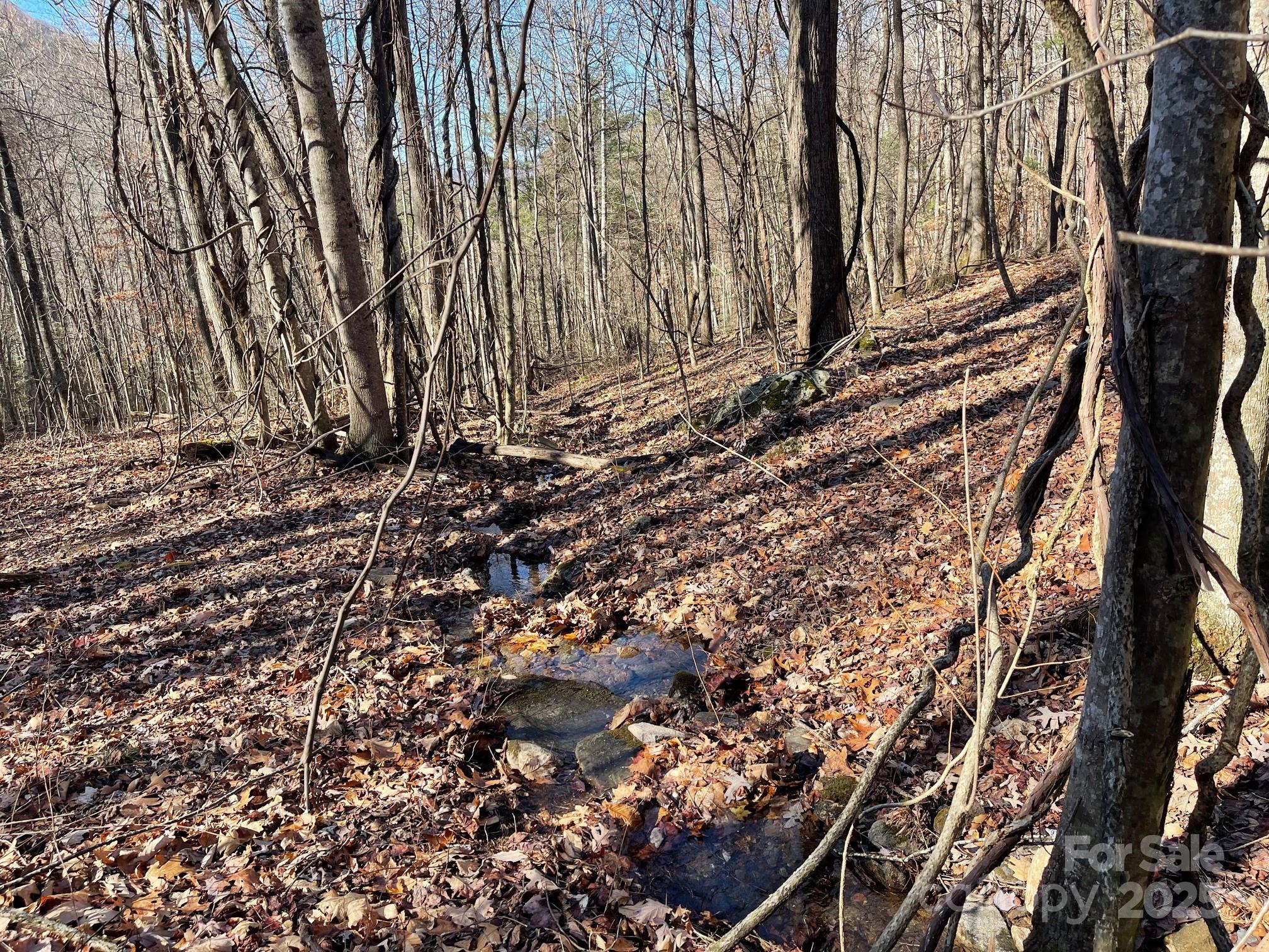 Tbd Billy Cove Road Candler NC 28715