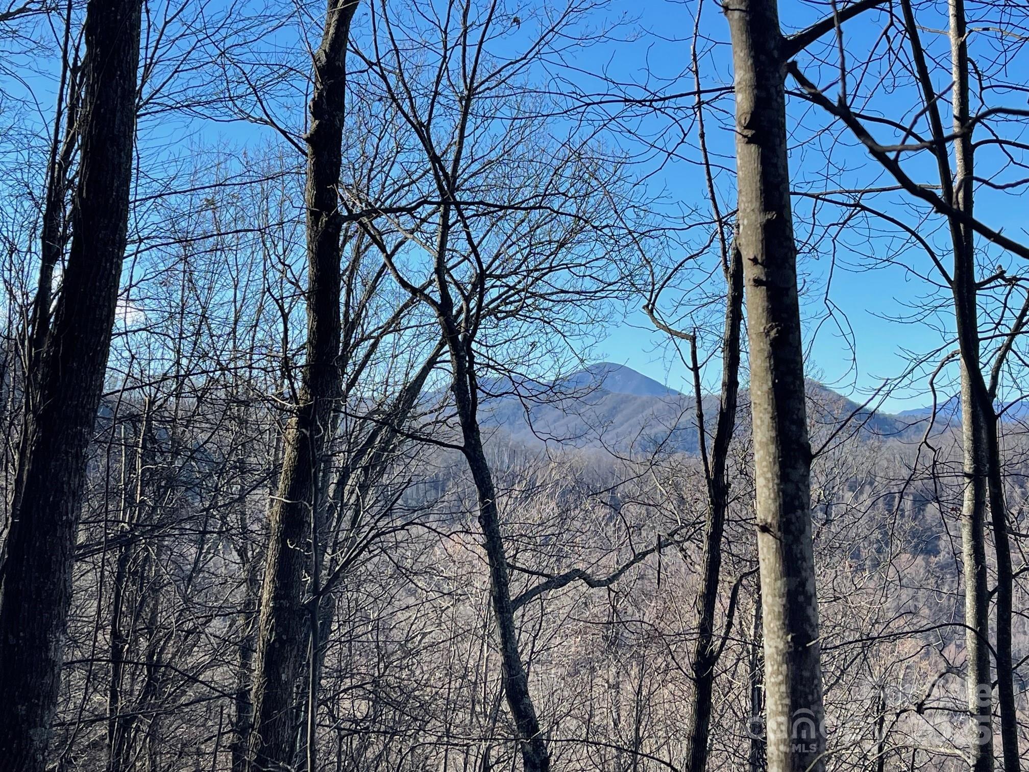 Tbd Billy Cove Road Candler NC 28715