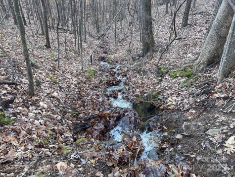Tbd Billy Cove Road Candler NC 28715
