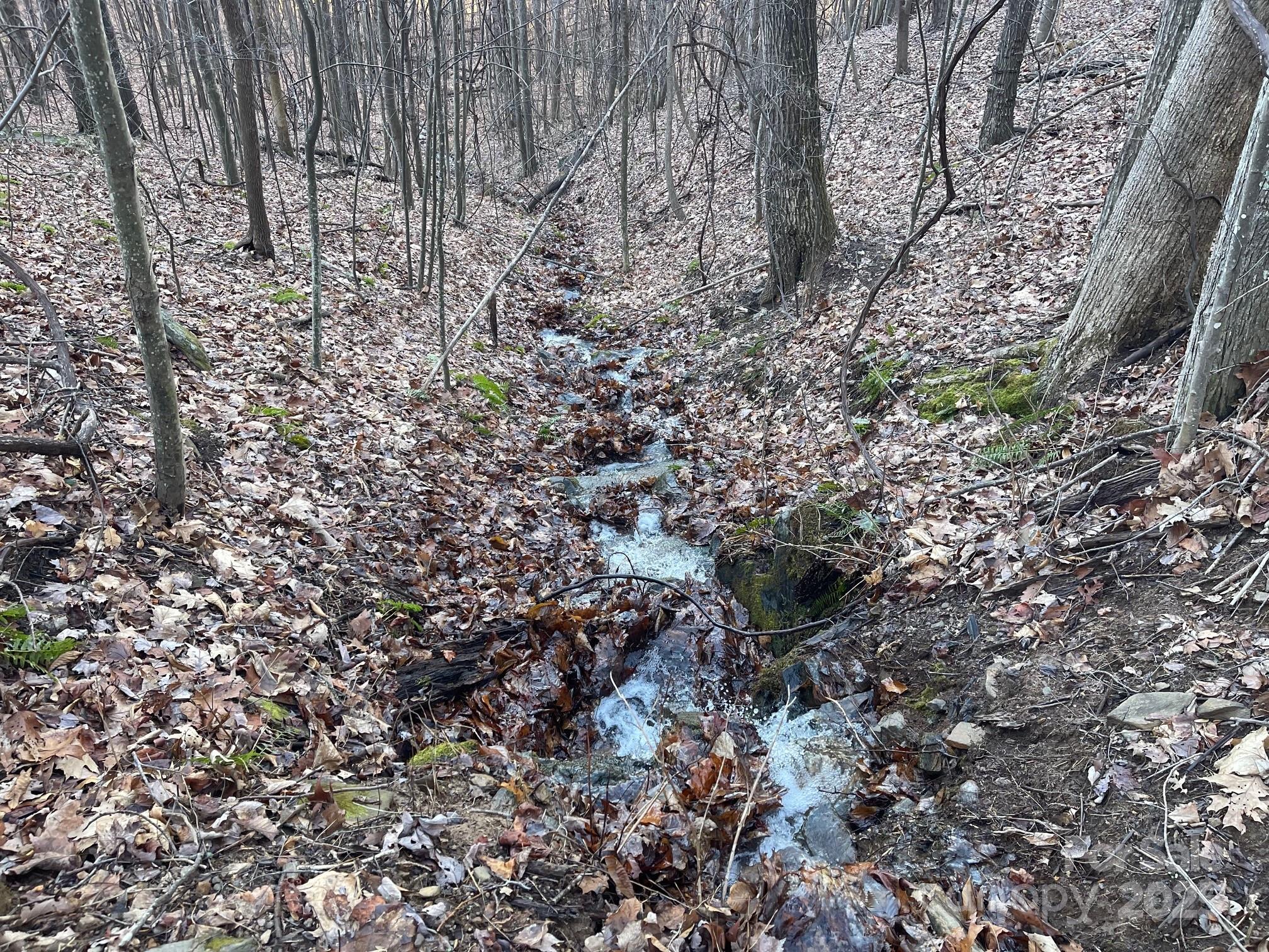 Tbd Billy Cove Road Candler NC 28715