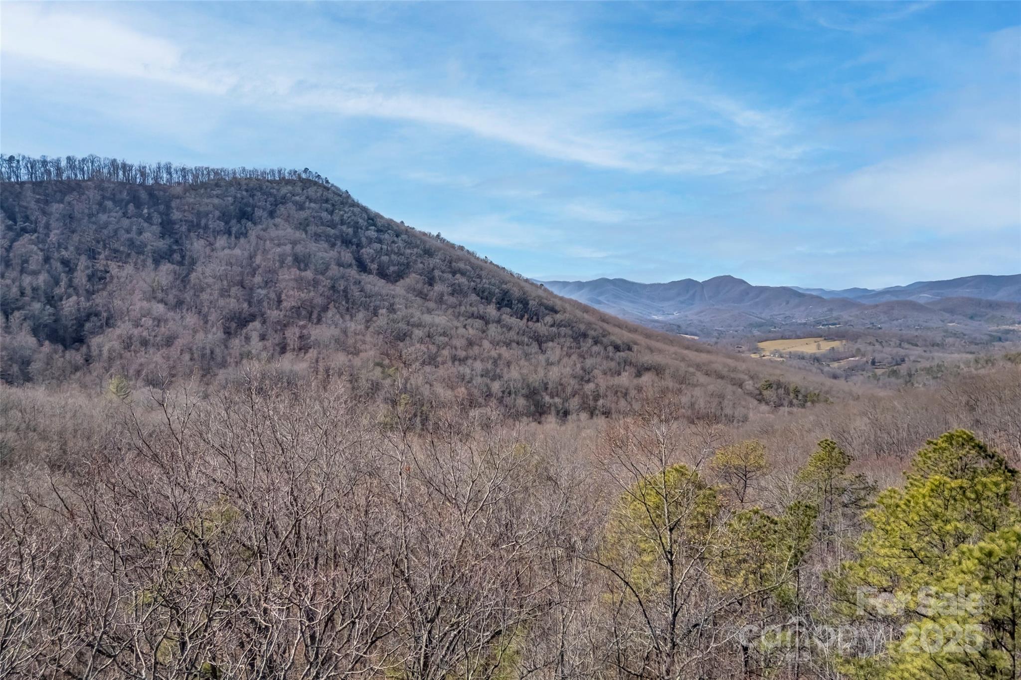 Tbd Billy Cove Road Candler NC 28715