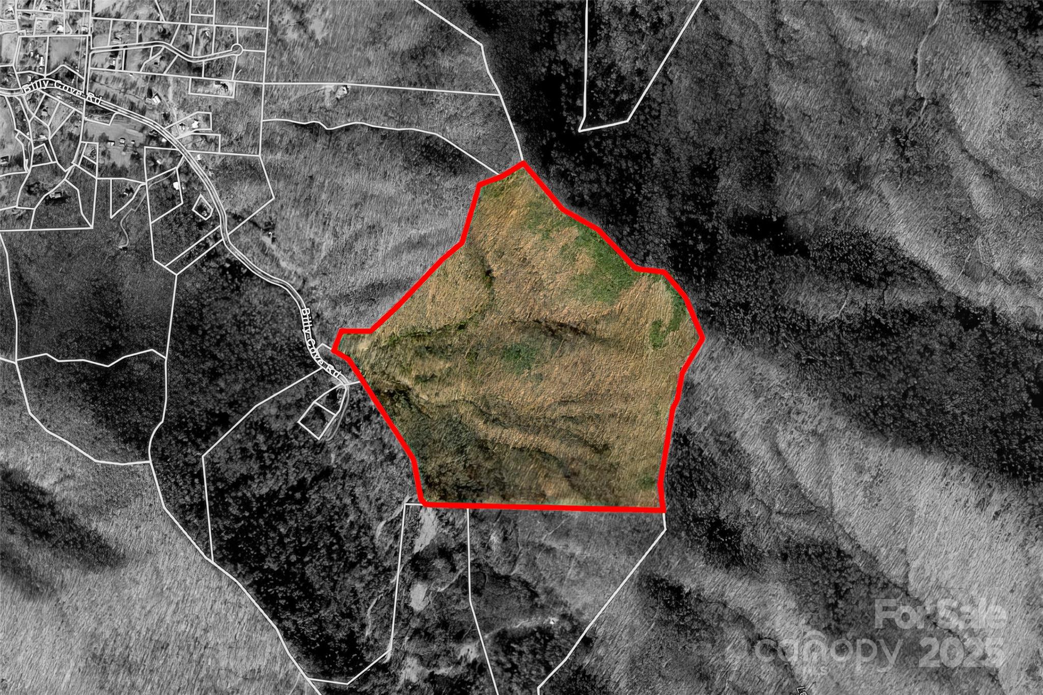 Tbd Billy Cove Road Candler NC 28715