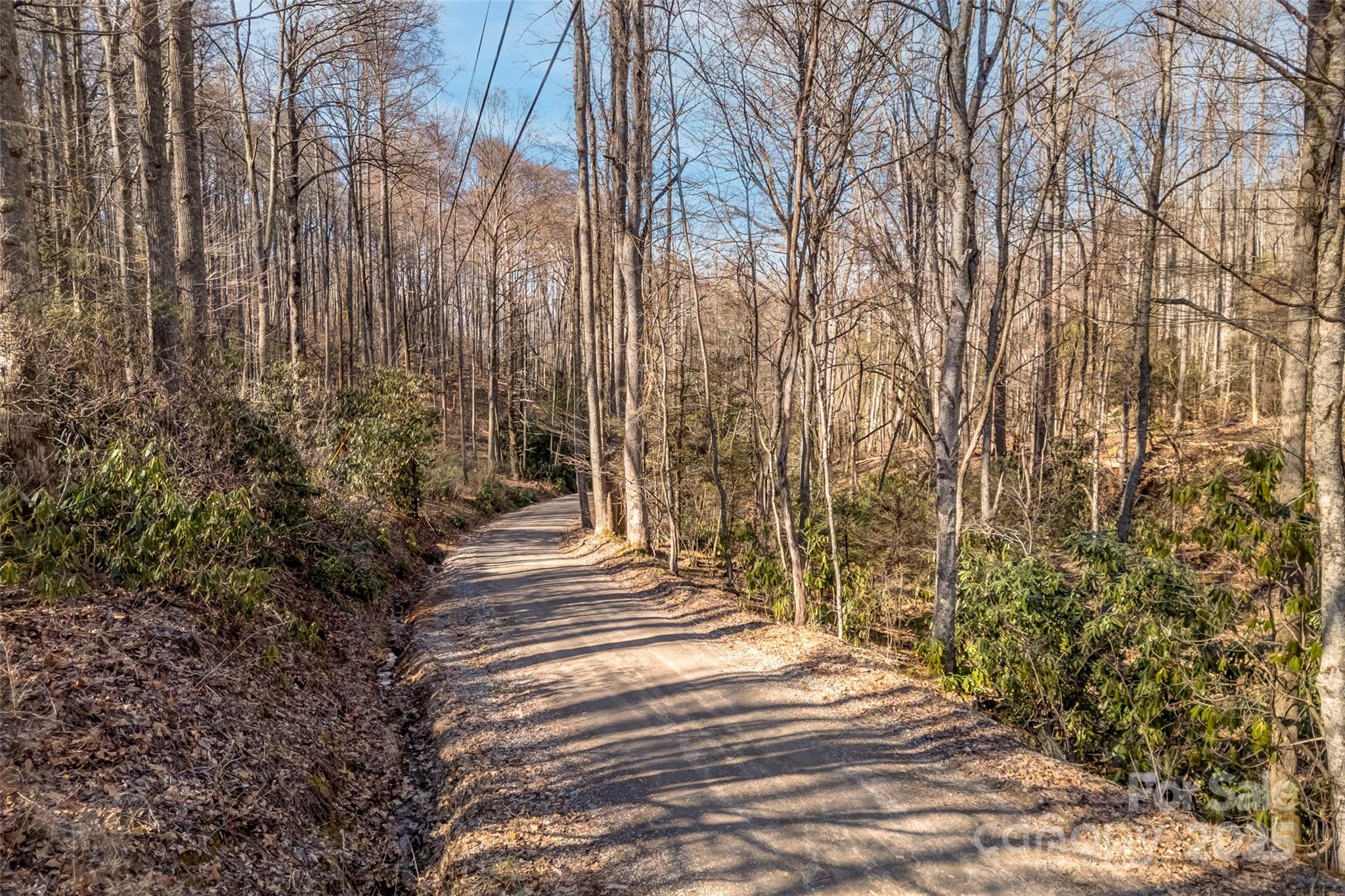 Tbd Billy Cove Road Candler NC 28715