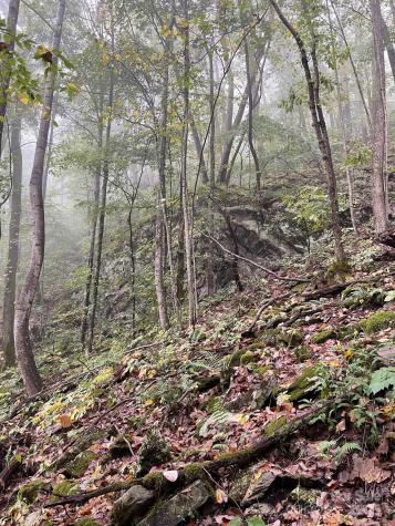 Tbd Billy Cove Road Candler NC 28715