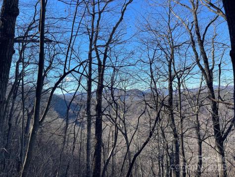 Tbd Billy Cove Road Candler NC 28715