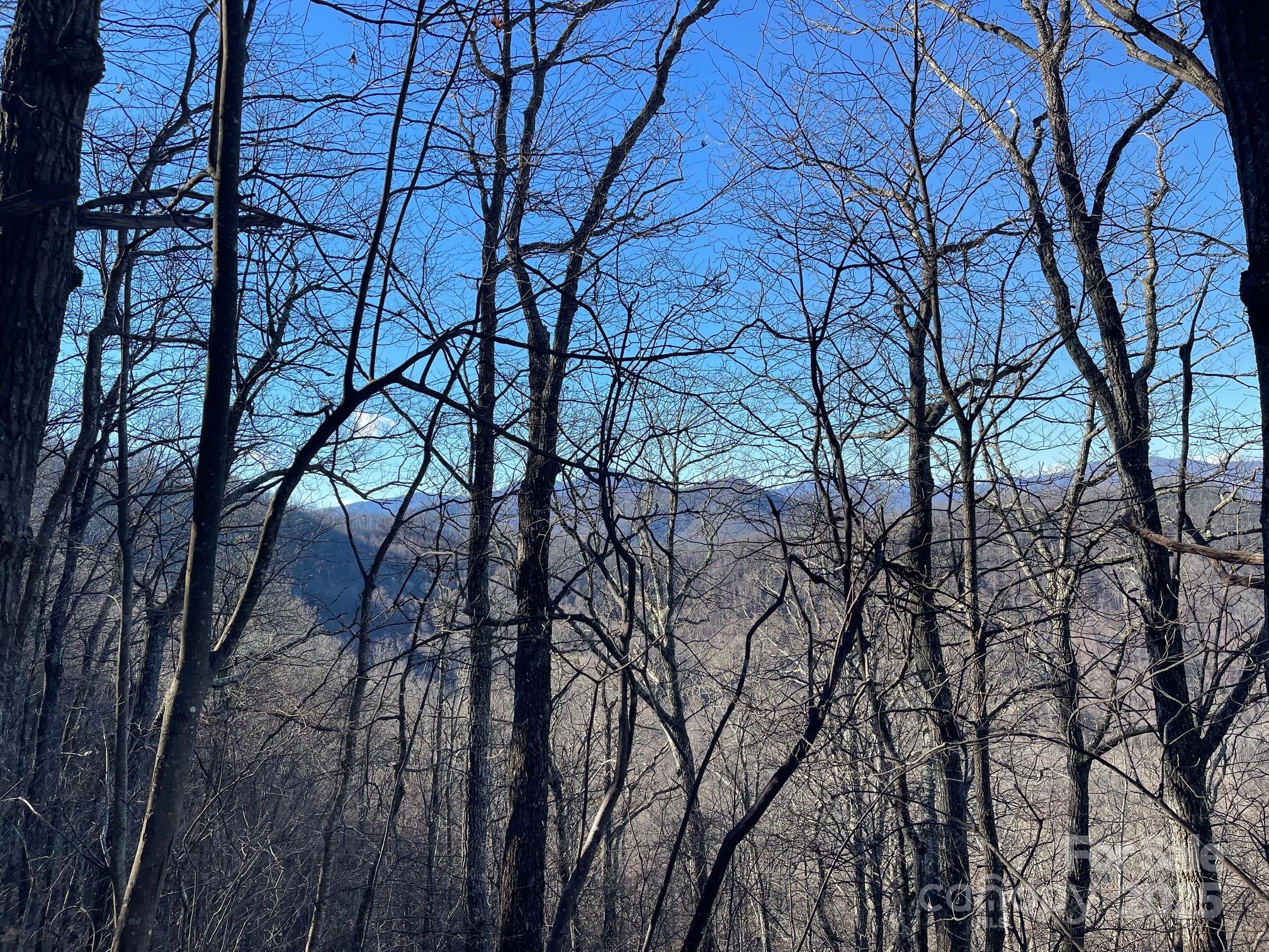 Tbd Billy Cove Road Candler NC 28715