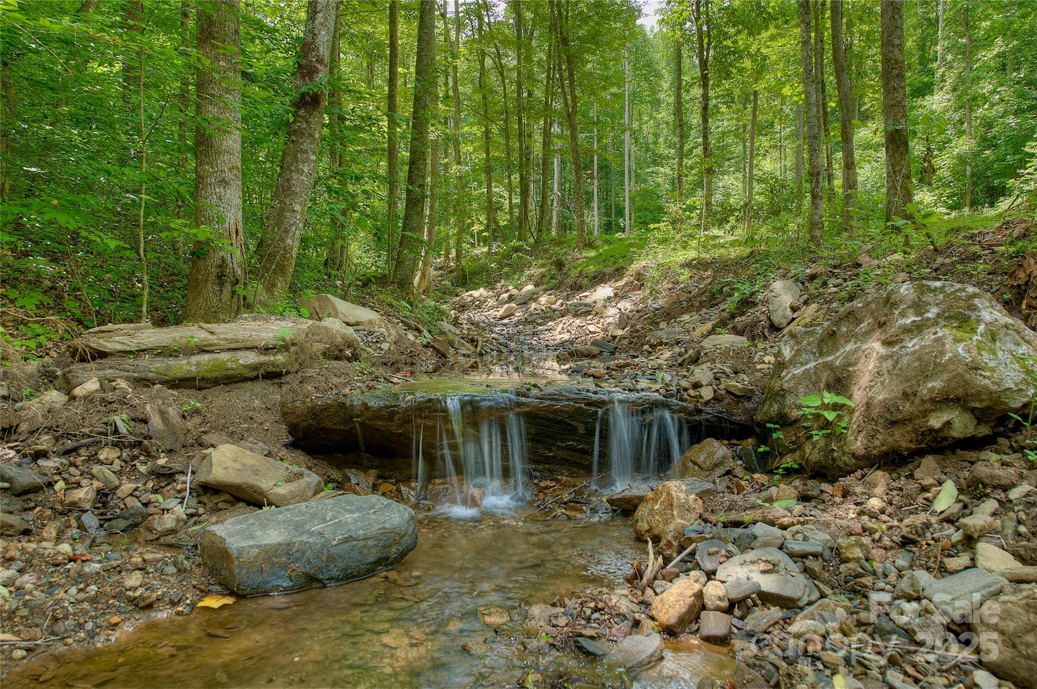 000 Shadowwood Drive Spruce Pine NC 28777