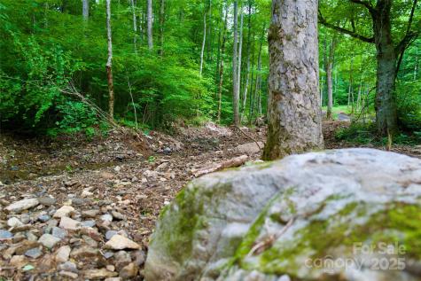 000 Shadowwood Drive Spruce Pine NC 28777