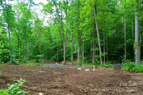 000 Shadowwood Drive Spruce Pine NC 28777