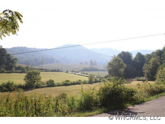 21 Old Eller Woods Drive Weaverville NC 28787