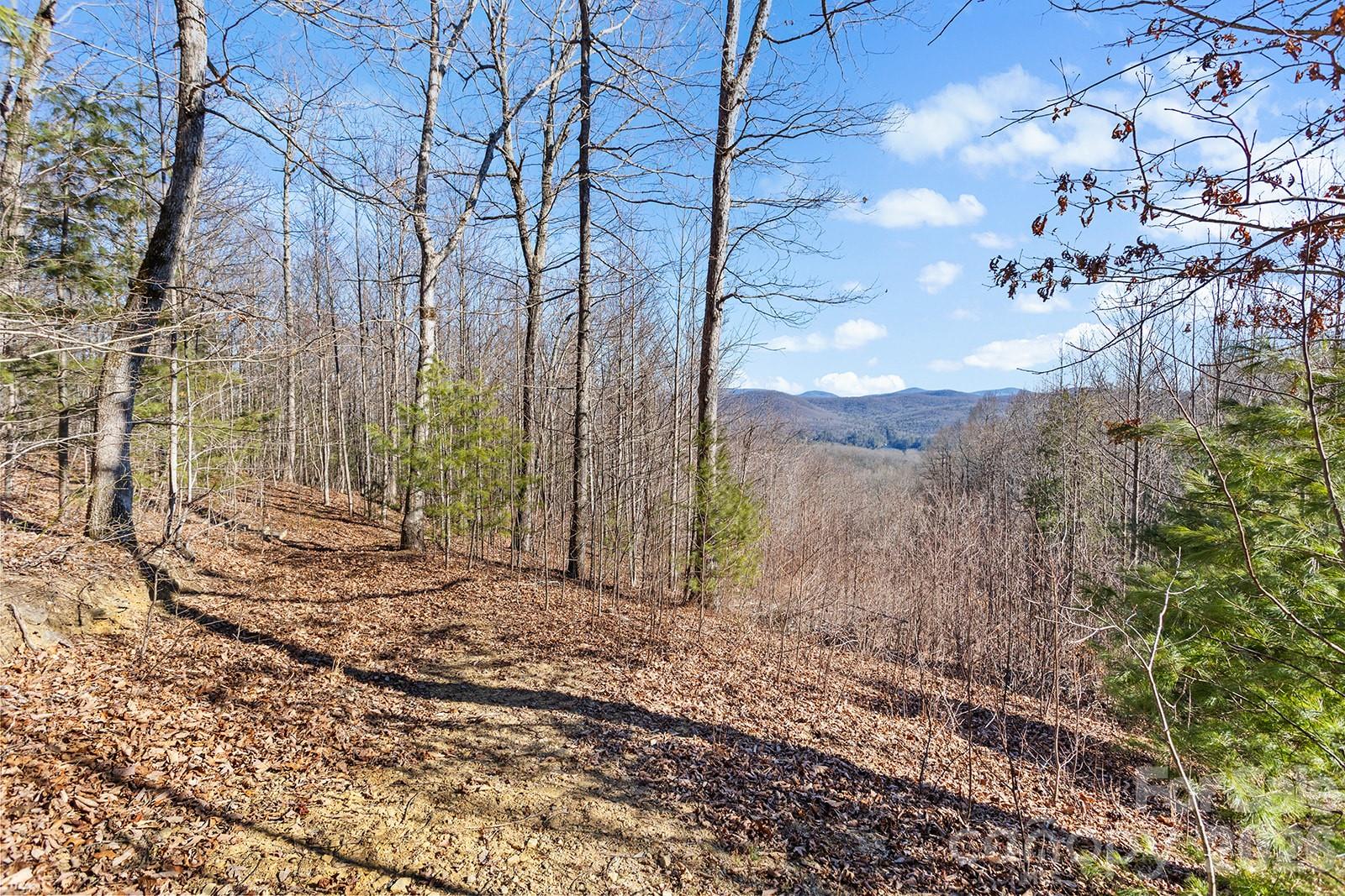 0000 Pinnacle Mountain Road Zirconia NC 28790