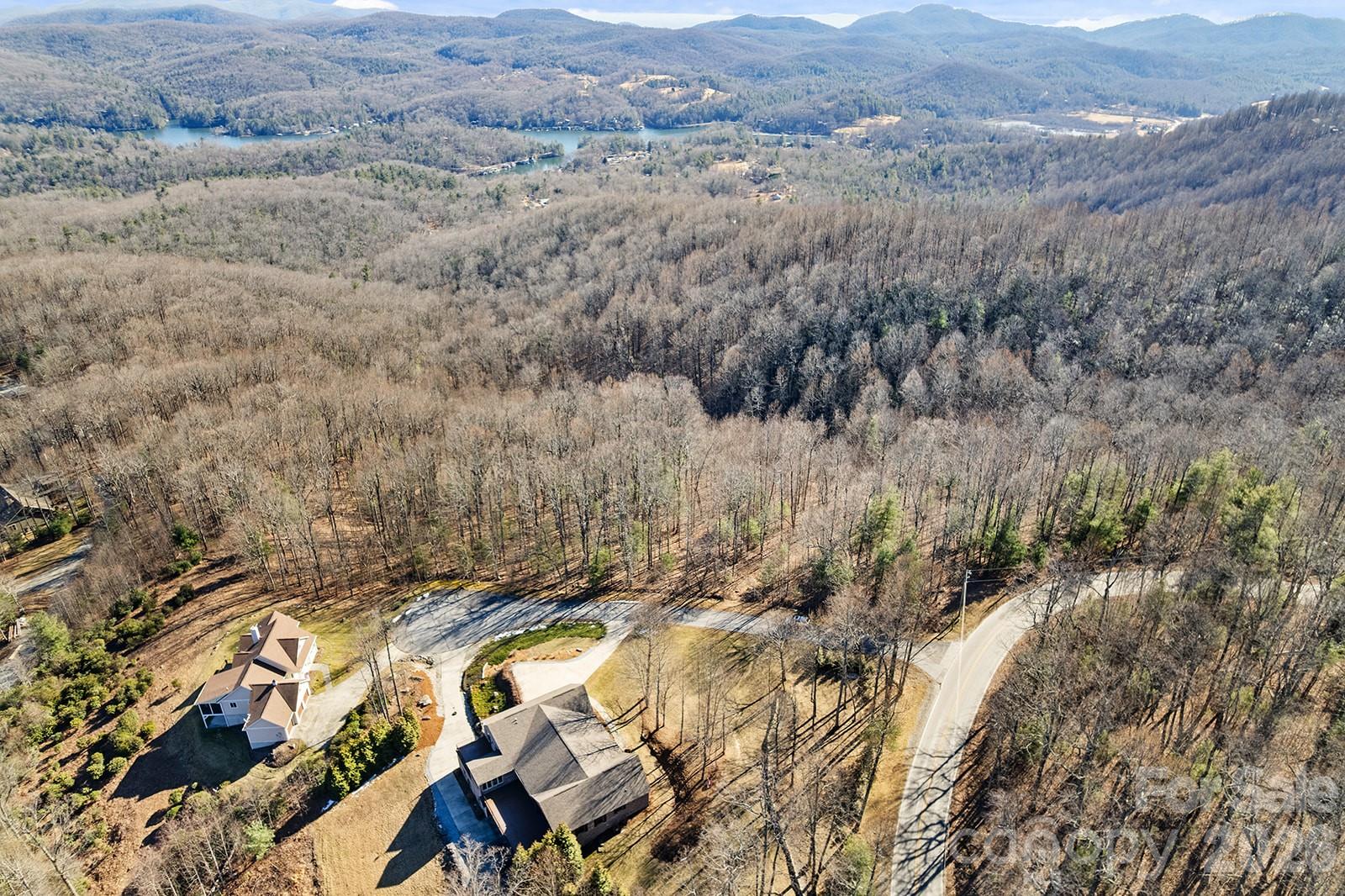 0000 Pinnacle Mountain Road Zirconia NC 28790
