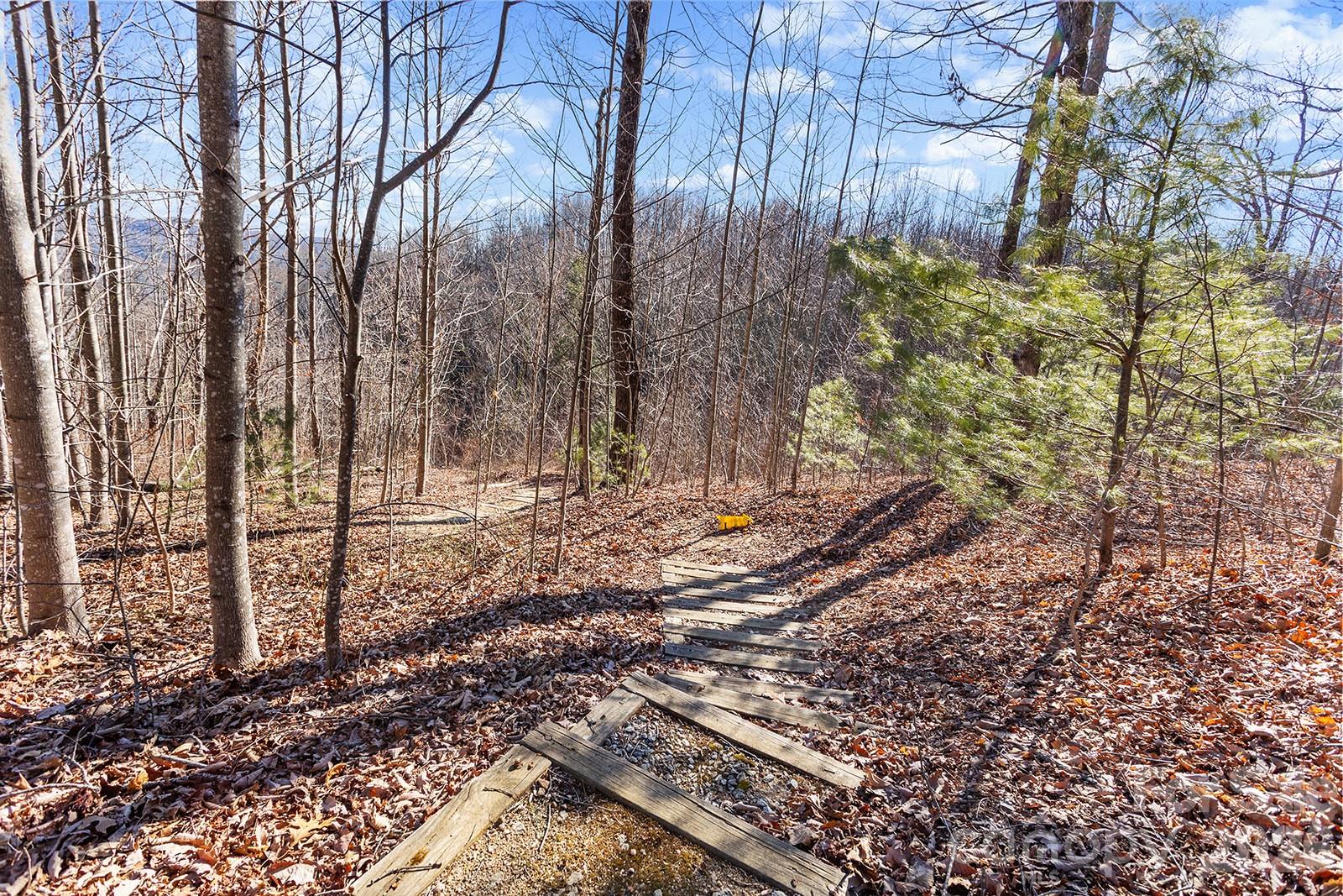 0000 Pinnacle Mountain Road Zirconia NC 28790