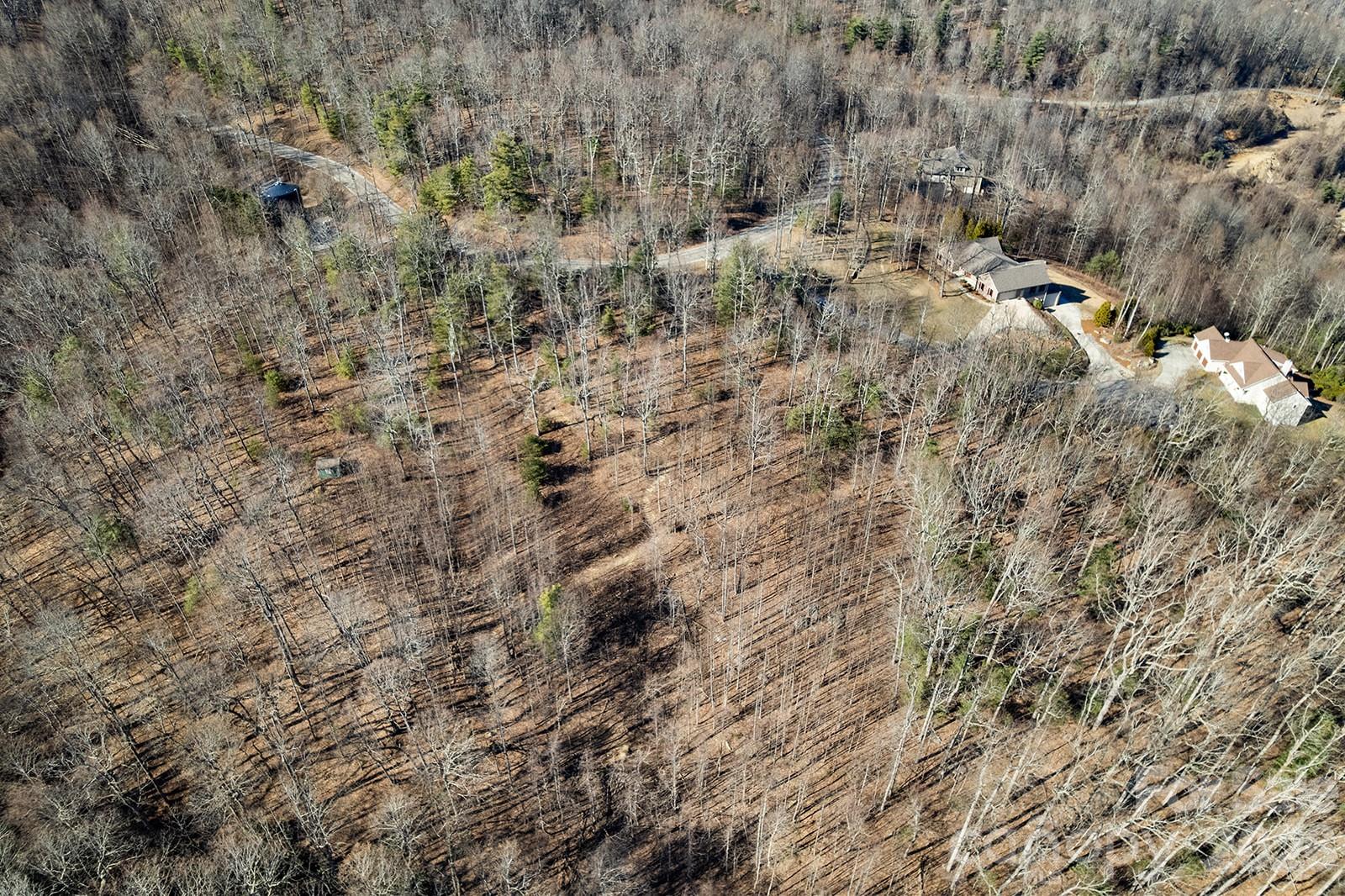 0000 Pinnacle Mountain Road Zirconia NC 28790