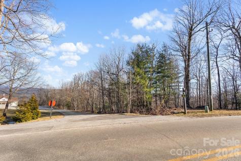 0000 Pinnacle Mountain Road Zirconia NC 28790
