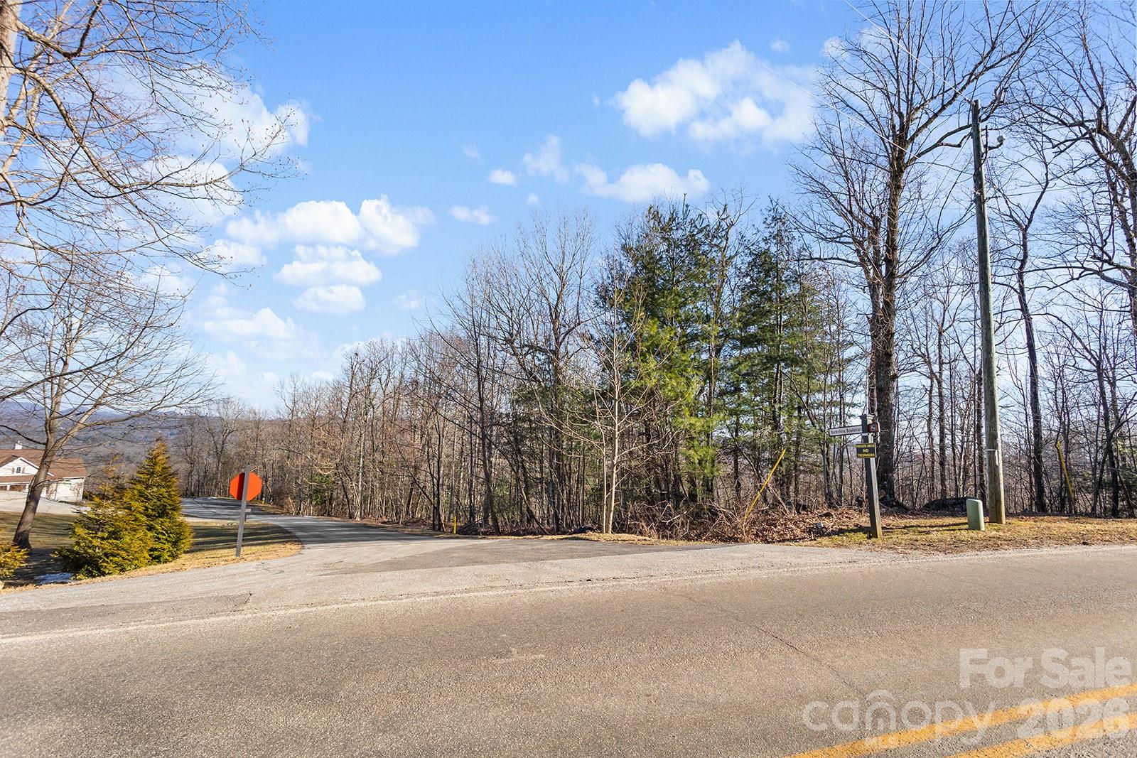 0000 Pinnacle Mountain Road Zirconia NC 28790