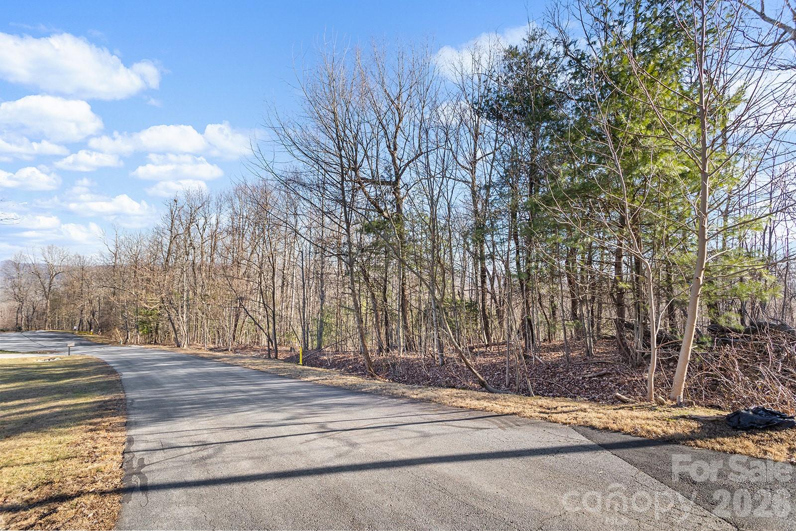 0000 Pinnacle Mountain Road Zirconia NC 28790