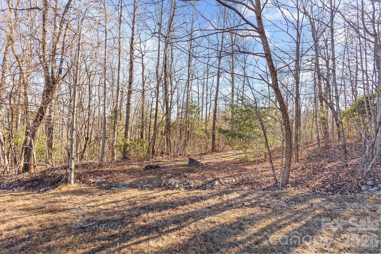 0000 Pinnacle Mountain Road Zirconia NC 28790