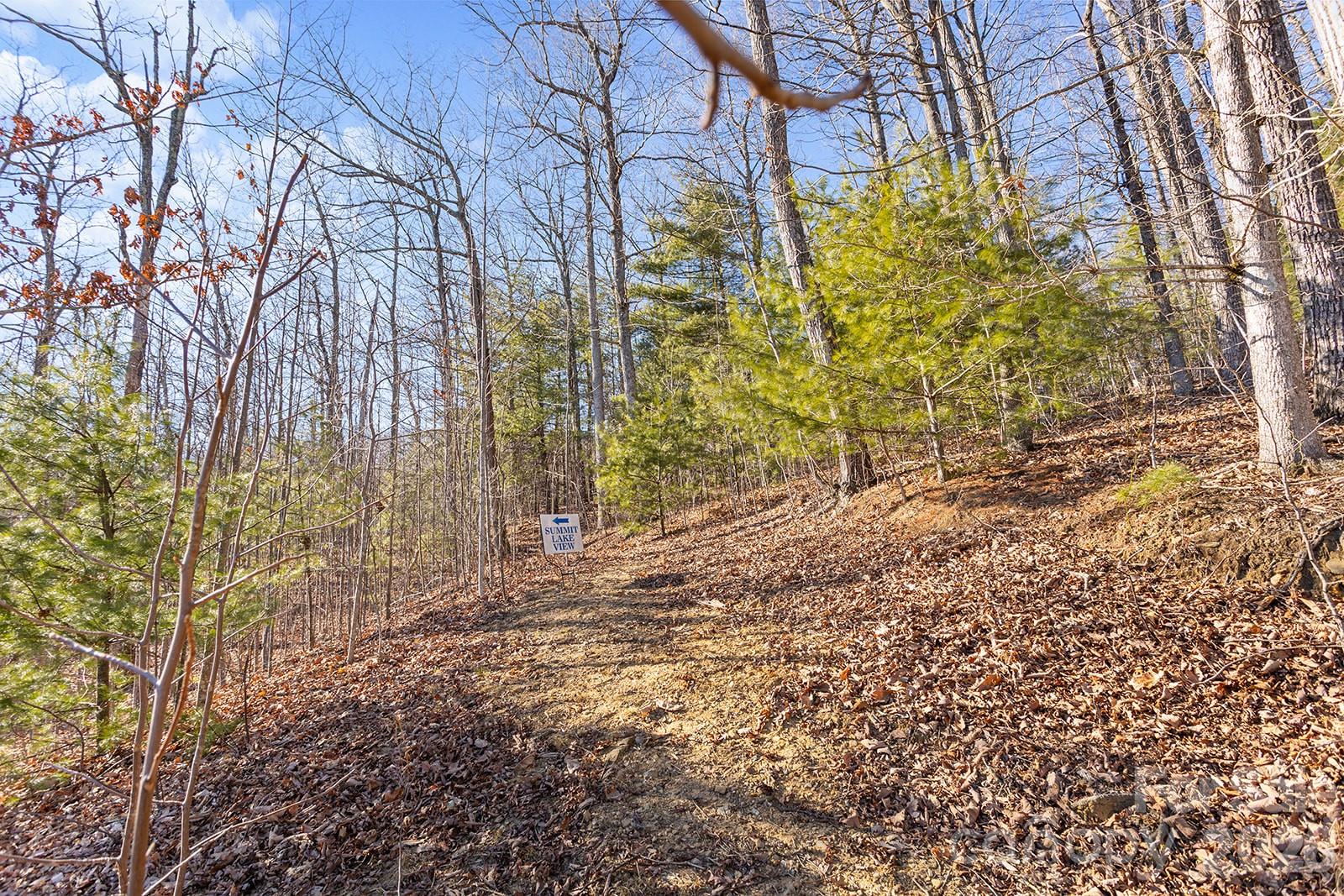0000 Pinnacle Mountain Road Zirconia NC 28790