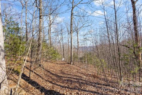 0000 Pinnacle Mountain Road Zirconia NC 28790