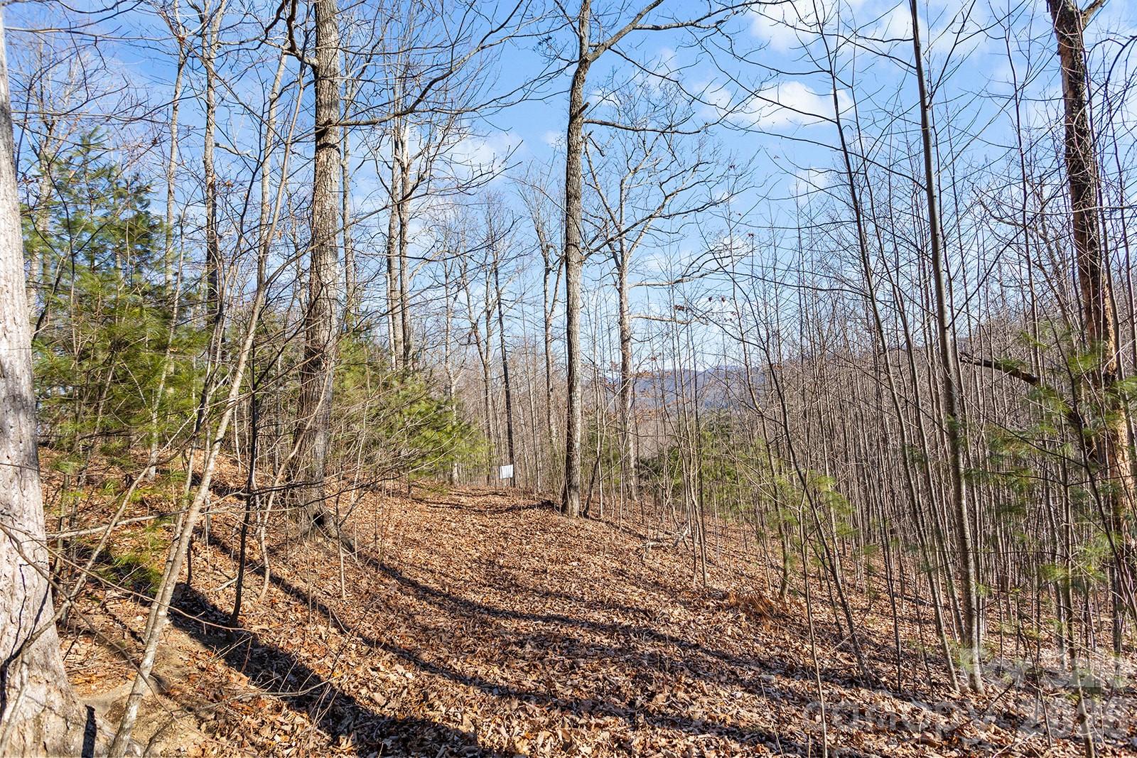 0000 Pinnacle Mountain Road Zirconia NC 28790