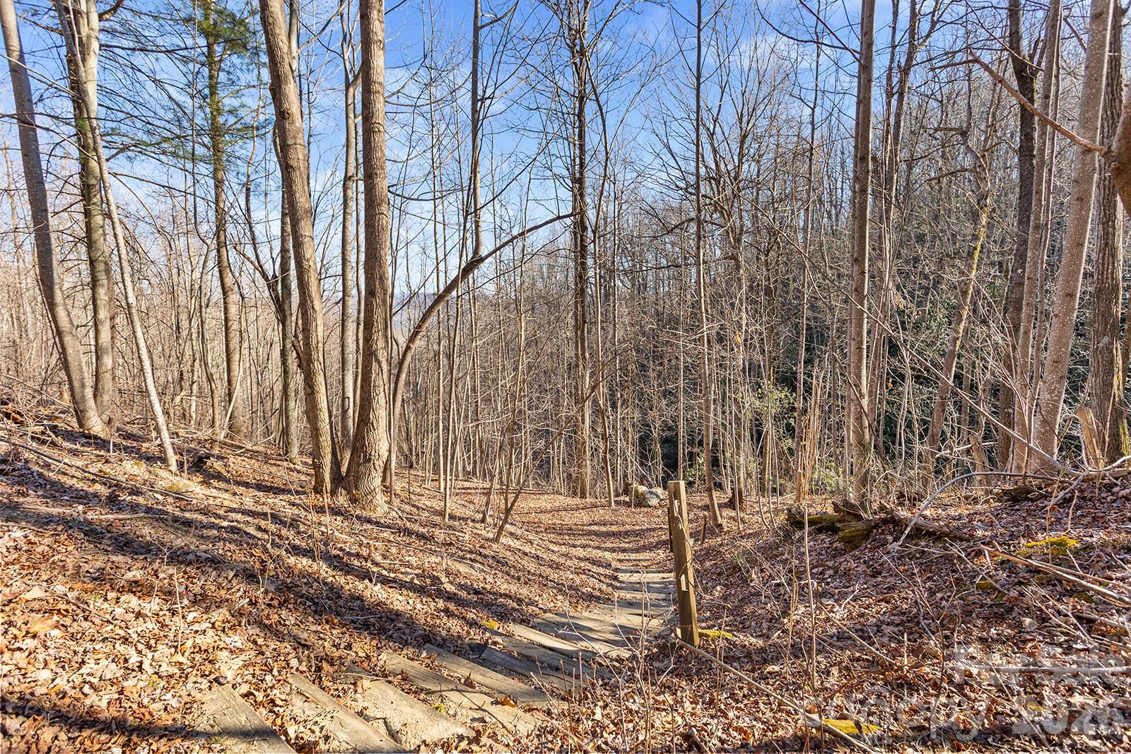 0000 Pinnacle Mountain Road Zirconia NC 28790