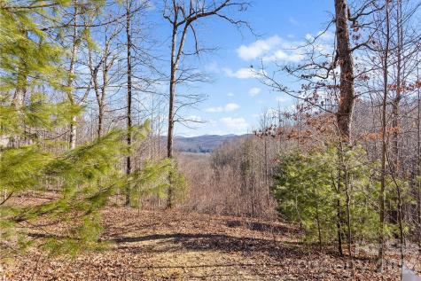 0000 Pinnacle Mountain Road Zirconia NC 28790