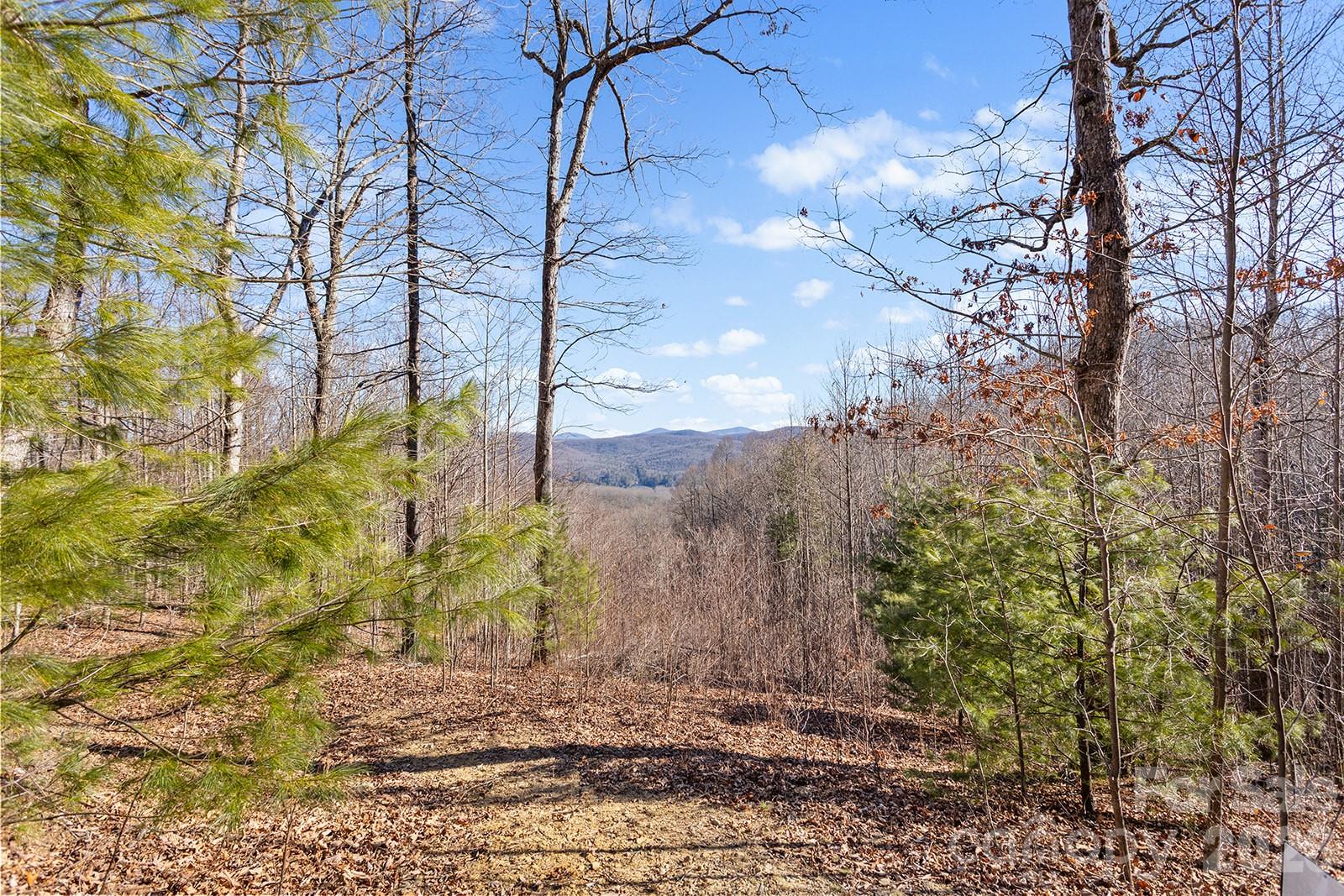 0000 Pinnacle Mountain Road Zirconia NC 28790